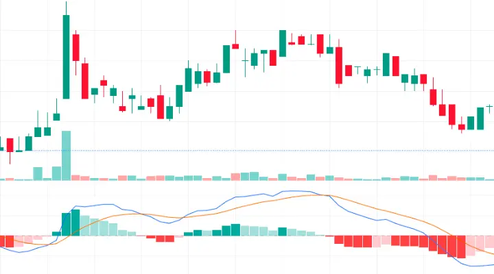 Live trade execution of MACD strategy on MetaTrader 5